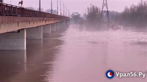 Уровень воды в реке урал у села илек