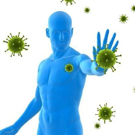 Что поднимает иммунитет человека