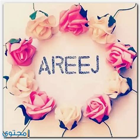 Areej