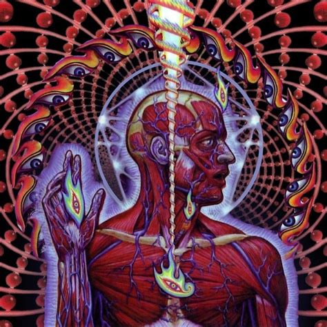 Lateralus tool