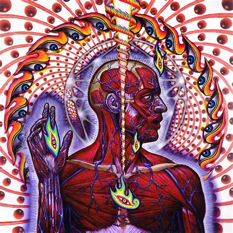 Lateralus tool
