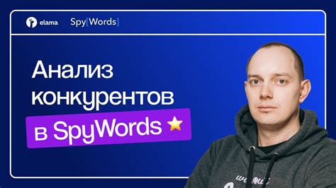 Spywords ru